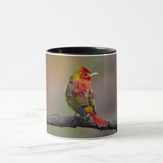 Scarlet Tanager Molting - Original Foto Tasse (Zentrum)