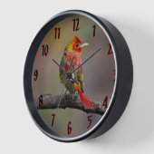 Scarlet Tanager Molting - Original Foto Uhr (Winkel)