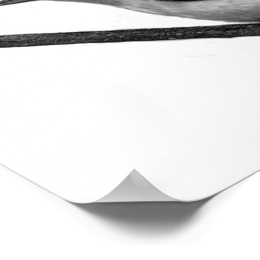 Scarlet Tanager Poster (Ecke)