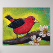 Scarlet Tanager Poster (Vorne)