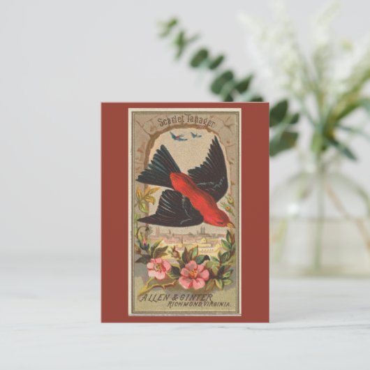 Scarlet Tanager Postkarte (Stehend Vorderseite)