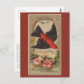 Scarlet Tanager Postkarte (Vorne/Hinten)