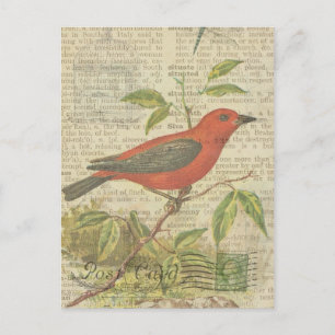Scarlet Tanager Vintag Bird Birdcage Dragonfly Postkarte