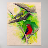 Scarlet Tanagers Vögel Aquarell Kunst drucken Poster (Vorne)
