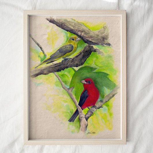 Scarlet Tanagers Vögel Aquarell Kunst drucken Poster