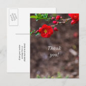 Scarlet Top Vielen Dank Postkarte (Vorne/Hinten)