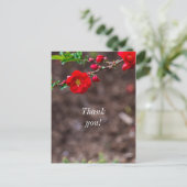 Scarlet Top Vielen Dank Postkarte (Stehend Vorderseite)