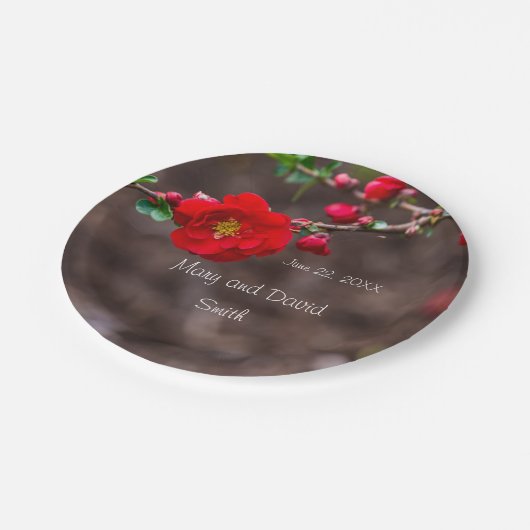 Scarlet Top Wedding Pappteller (Schrägansicht)