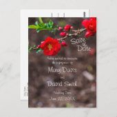 Scarlet Top Wedding Postkarte (Vorne/Hinten)