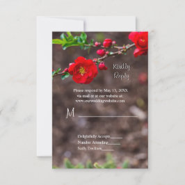 Scarlet Top Wedding RSVP Karte
