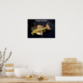 Scarlet Trimm Pleco の ス タ ポ Poster (Küche)