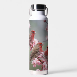"Scarlet Trio: Rote Finken unter rosa Blüten" Trinkflasche