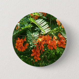 Scarlet Wisteria (Sesbania punicea) OBX Button