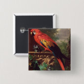 ScarletMacaw in einer Landschaft (Öl auf Leinwand) Button (Vorne & Hinten)