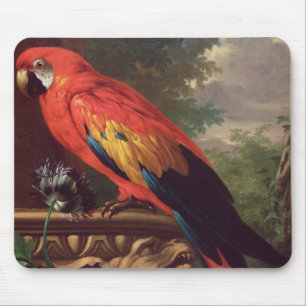 ScarletMacaw in einer Landschaft (Öl auf Leinwand Mousepad