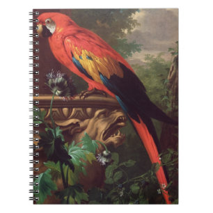 ScarletMacaw in einer Landschaft (Öl auf Leinwand Notizblock