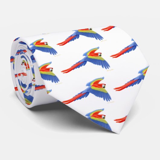 Scarletmacaw-Krawatte Krawatte (Gerollt)