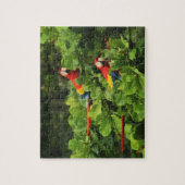Scarlett Macaws in Almond tree Jigsaw Puzzle (Vertikal)