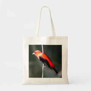 Scarlettanager-Budget-Taschen-Tasche Tragetasche