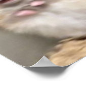 Scarred Hamster Poster (Ecke)