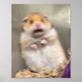 Scarred Hamster Poster (Vorne)