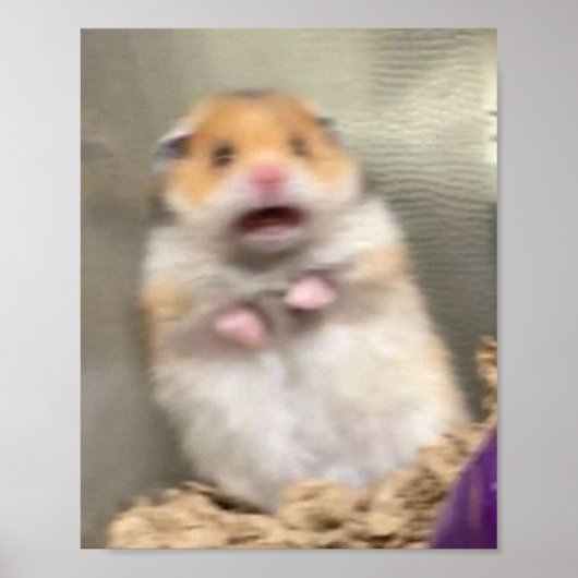 Scarred Hamster Poster (Vorne)