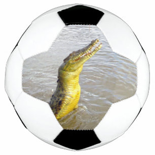 Scary Snappers: Der Sprung des Krokodils, Fußball