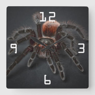 Scary Tarantula Spider Arachnophobia Quadratische Wanduhr