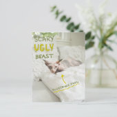 Scary Ugly Cat Postkarte (Stehend Vorderseite)