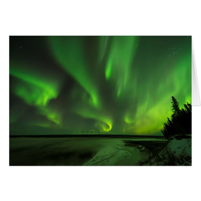 Scatter Aurora (Vorderseite (Horizontal))