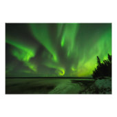 Scatter Aurora Fotodruck (Vorne)