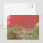 Scatter Kindness Pink Poppy Blume Postkarte (Vorne/Hinten)