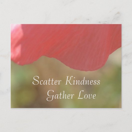 Scatter Kindness Pink Poppy Blume Postkarte (Vorderseite)