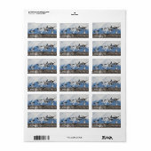 Scattering Geese Adressaufkleber (Vorne)