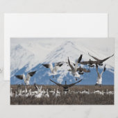 Scattering Geese Briefpapier (Vorne/Hinten)