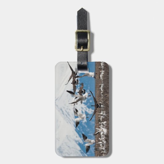 Scattering Geese Gepäckanhänger (Vorderseite vertikal)