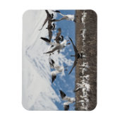 Scattering Geese Magnet (Vertikal)