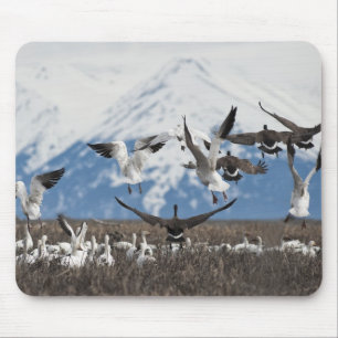 Scattering Geese Mousepad