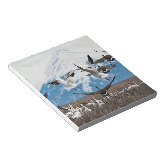 Scattering Geese Notizblock (angewinkelt)
