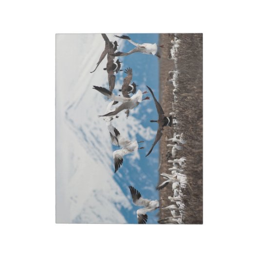 Scattering Geese Notizblock (Rotiert)