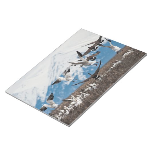 Scattering Geese Notizblock (angewinkelt)