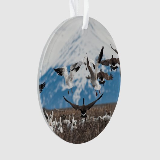Scattering Geese Ornament (Vorderseite)