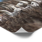 Scattering Geese Poster (Ecke)