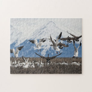 Scattering Geese Puzzle