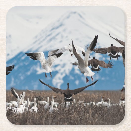 Scattering Geese Rechteckiger Pappuntersetzer (Vorderseite)