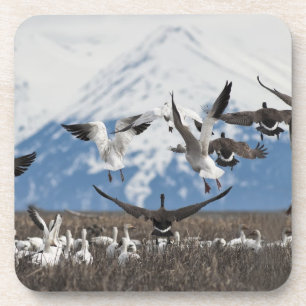 Scattering Geese Untersetzer