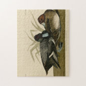 Scaup Enck (Lesser Scaup) Audubon Birds of America Puzzle (Vertikal)