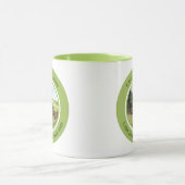 Scawgill Bridge over River Aiken Lake District Ver Tasse (Zentrum)