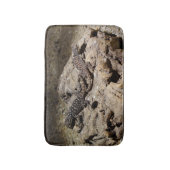 Sceloporus cyanogenes badematte (Vorderseite Vertikal)