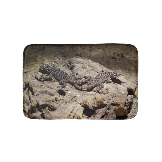 Sceloporus cyanogenes badematte (Vorderseite)